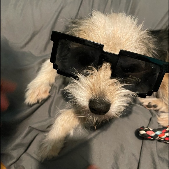 Meet your Posher, Marz - Picture 1 of 2